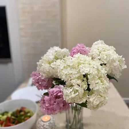 Sirius House 公寓 *