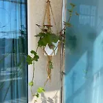 Sirius House 산콘스탄틴앤헬레나
