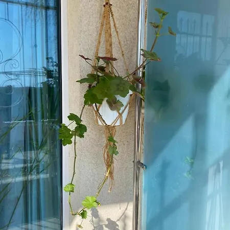 Sirius House Sweti Konstantin i Sweta Elena