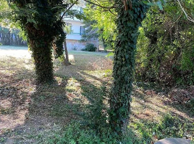 Sirius House Апартамент Св. Св. Константин и Елена