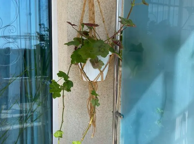 Sirius House Aziz Konstantin ve Elena